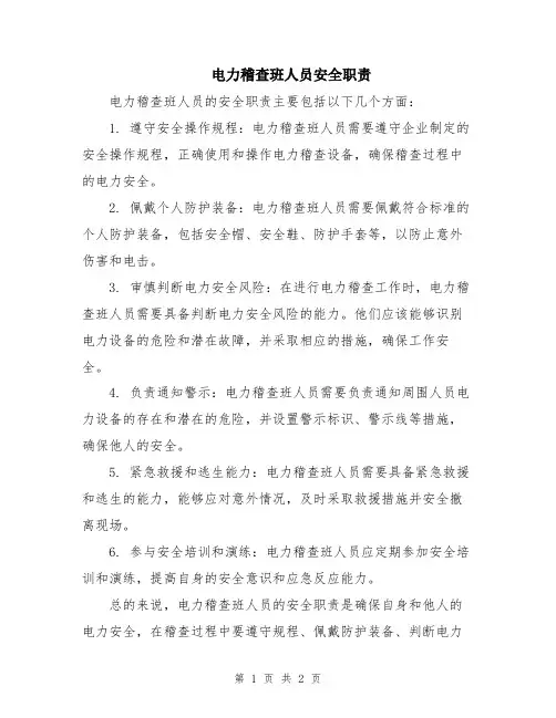 电力稽查班人员安全职责