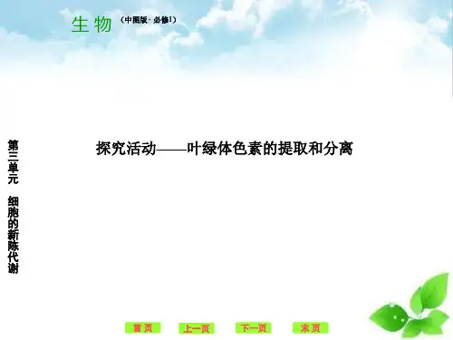 叶绿体色素的提取和分离ppt课件(自制) 中图版