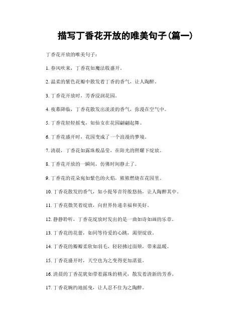 描写丁香花开放的唯美句子(精选两篇)