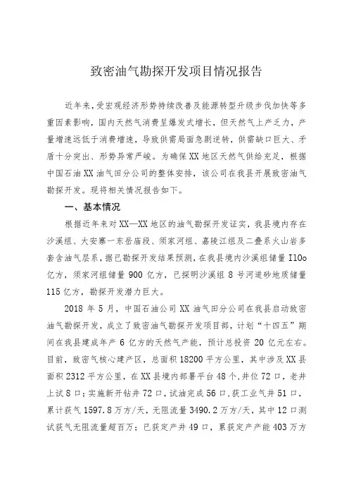 致密油气勘探开发项目情况报告