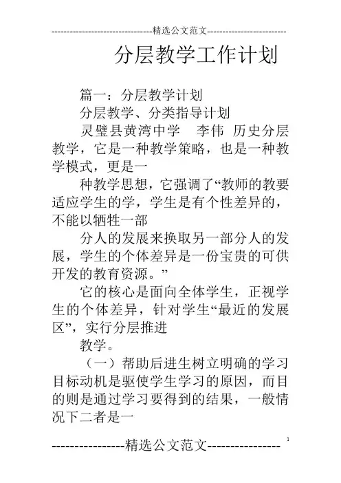 分层教学工作计划