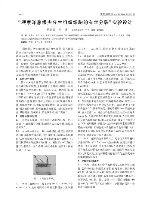 “观察洋葱根尖分生组织细胞的有丝分裂”实验设计