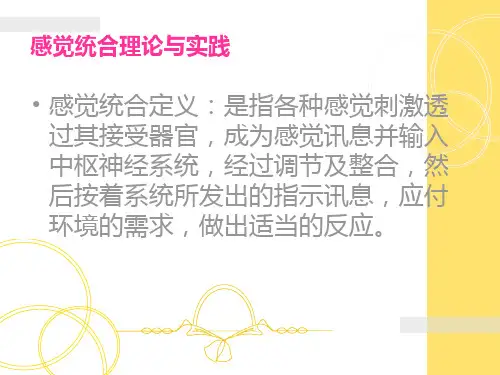 感觉统合理论与实践 ppt课件