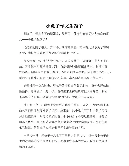 小兔子作文生孩子