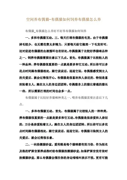 空间养布偶猫-布偶猫如何饲养布偶猫怎么养