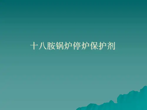 十八胺停炉保护剂的选择与使用方法