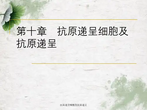 抗原递呈细胞及抗原递呈
