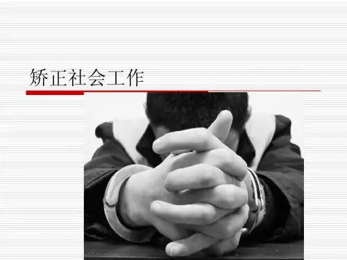 7社会工作 实务—— 矫正社会工作