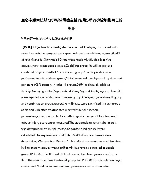 血必净联合法舒地尔对脓毒症急性肾损伤后肾小管细胞凋亡的影响