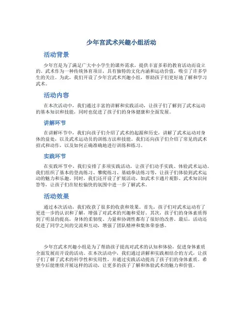 少年宫武术兴趣小组活动总结