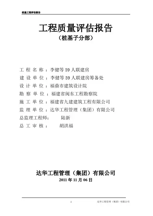 双回旋潜孔锤灌注桩桩基工程评估报告