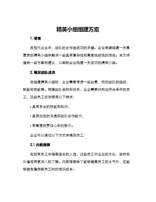 精英小组组建方案