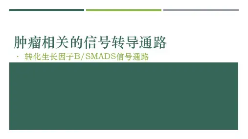 肿瘤相关的信号转导通路