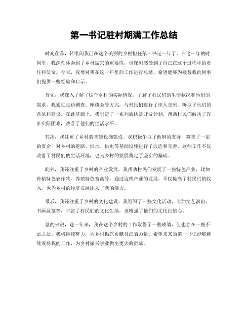 第一书记驻村期满工作总结