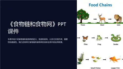 《食物链和食物网》课件