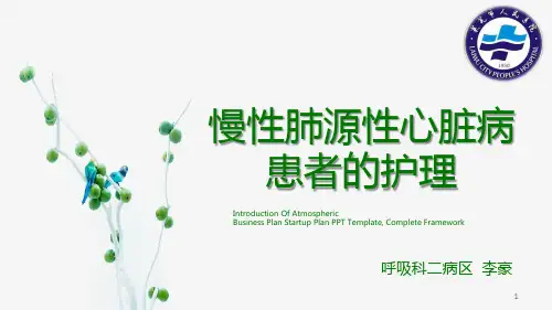 肺心病PPT课件
