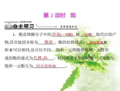 高中化学选修5课件第三章 第三节 第2课时 酯