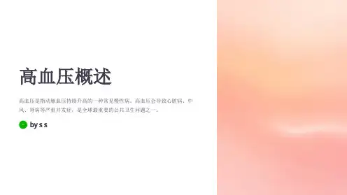 高血压的管理与降压方法PPT