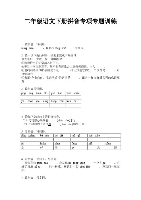 二年级语文下册拼音专项专题训练
