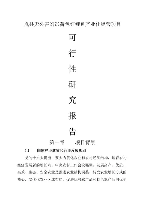 无公害幻影荷包红鲤鱼产业化经营项目可行研究报告共15页文档