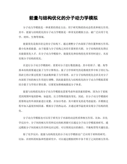 能量与结构优化的分子动力学模拟