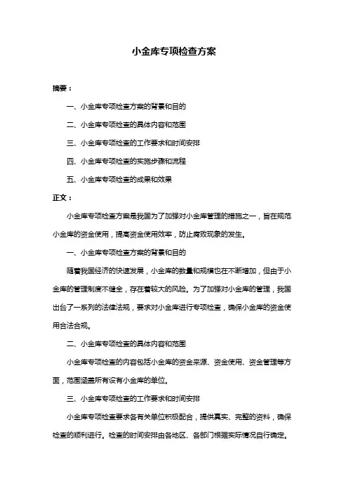 小金库专项检查方案