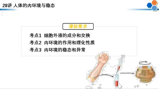 2023届高三生物一轮复习课件：28+人体的内环境和稳态