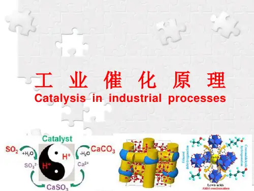 工业催化原理PPT