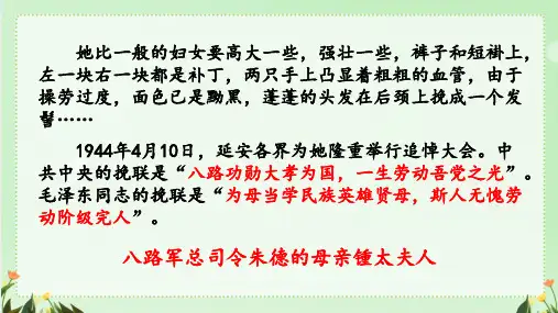 《回忆我的母亲》ppt课件21张