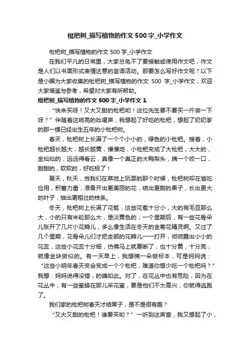 枇杷树_描写植物的作文500字_小学作文