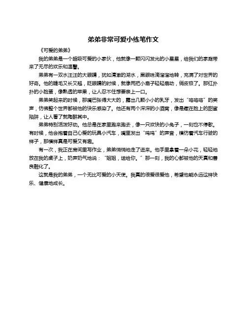 弟弟非常可爱小练笔作文
