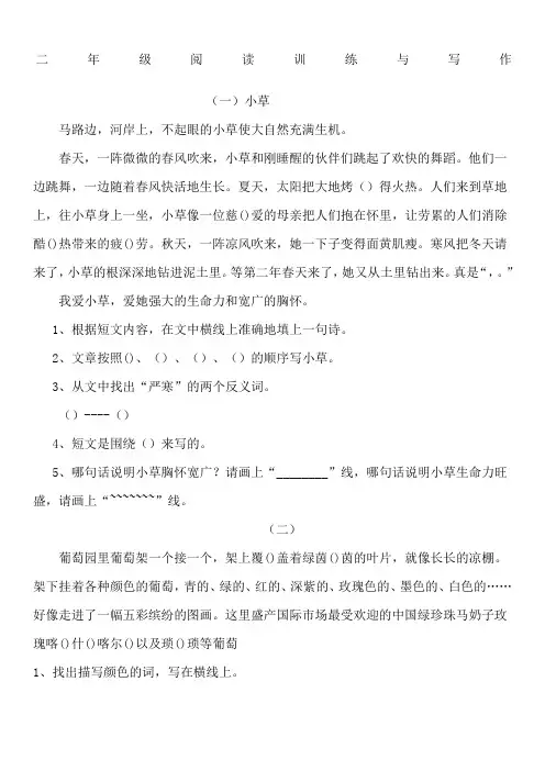 二年级三年级《阅读与写作》