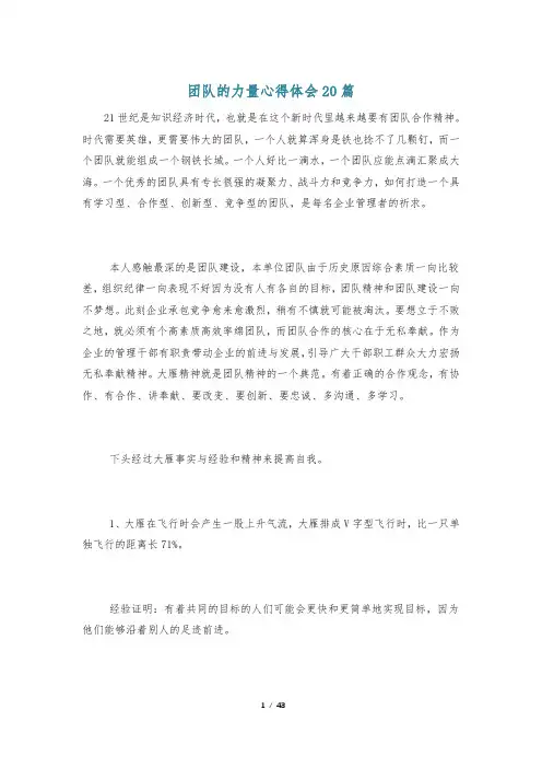 团队的力量心得体会20篇
