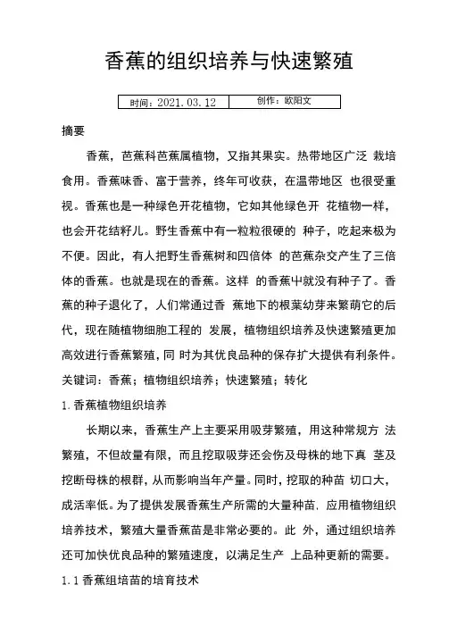香蕉的组织培养与快速繁殖