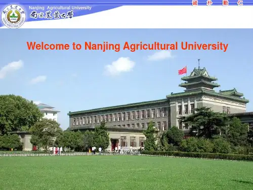 南京农业大学《寄生虫病学》007兽医昆虫-课用-精品文档