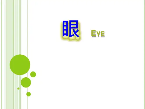 组织胚胎学精品课件眼-eye