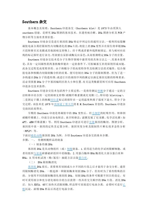 四种分子杂交的原理及方法