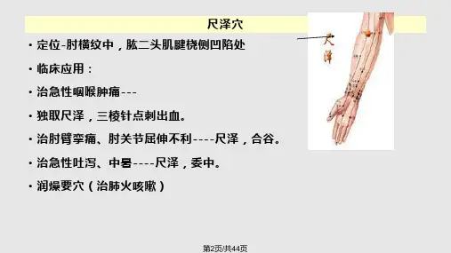 针灸推拿常用穴位图解