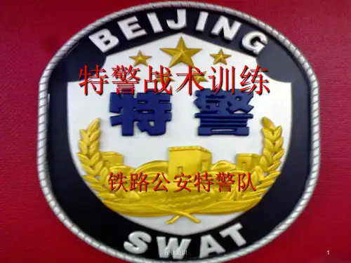 特警战术训练[业界荟萃]