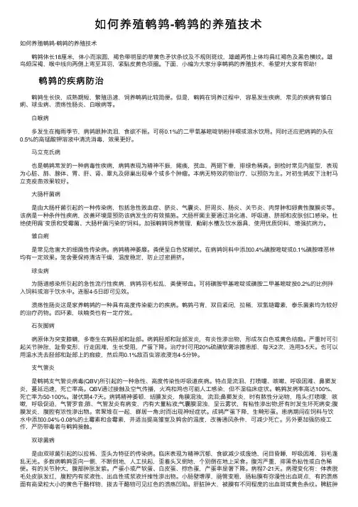 如何养殖鹌鹑-鹌鹑的养殖技术