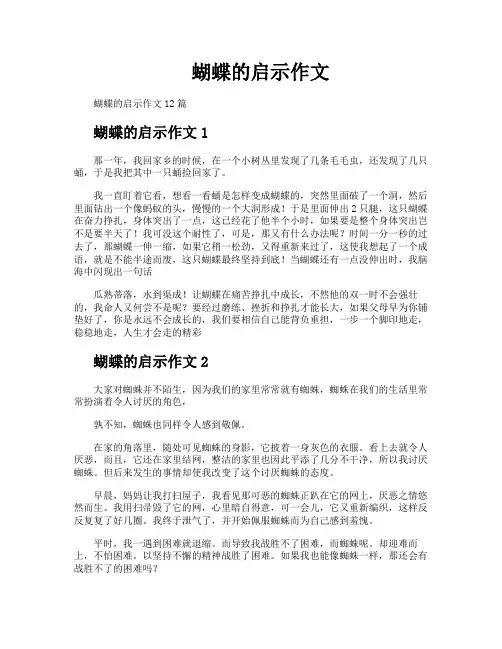 蝴蝶的启示作文