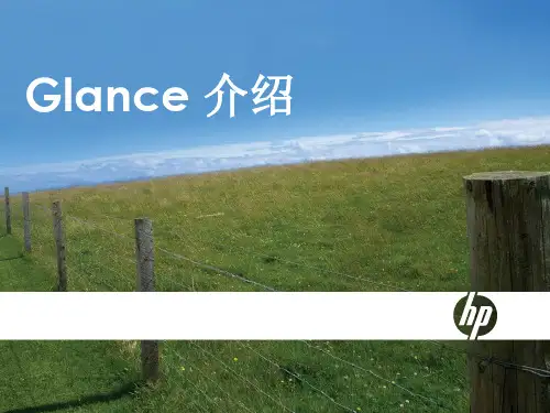 hpux-性能-glance