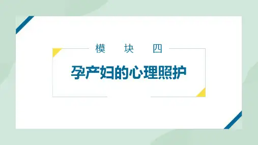 心理照护第四章孕产妇的心理照护