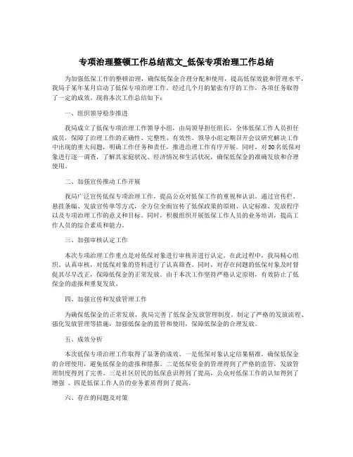 专项治理整顿工作总结范文_低保专项治理工作总结