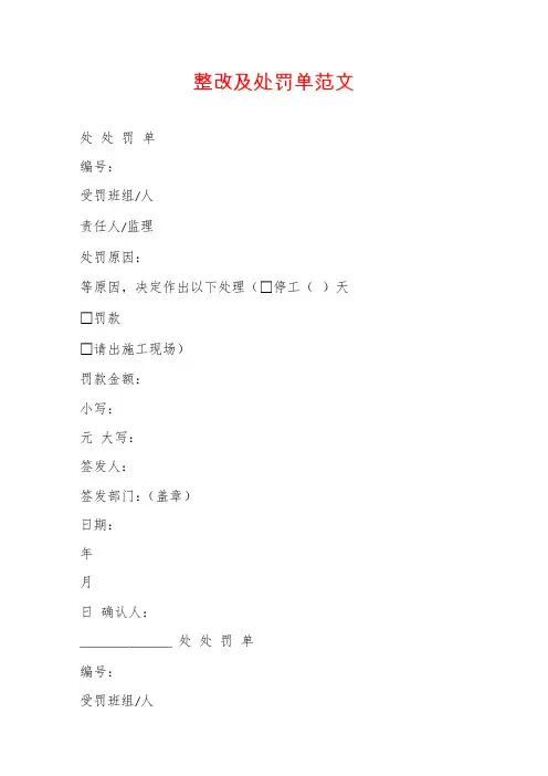 整改及处罚单范文