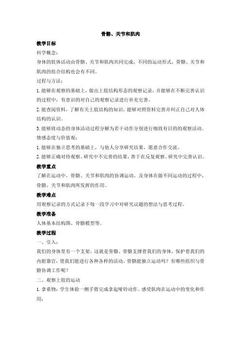 教科版科学四上《骨骼关节和肌肉》参考教案