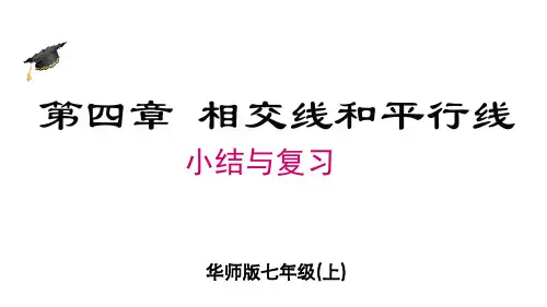 第四章相交线和平行线相交线复习与小结课件华东师大版七年级数学上册