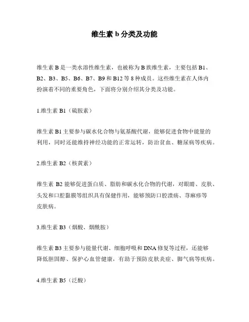 维生素b分类及功能