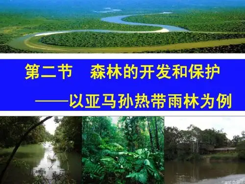 2.2 森林的开发和保护——以亚马孙热带雨林为例优质课