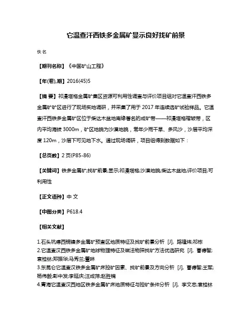 它温查汗西铁多金属矿显示良好找矿前景